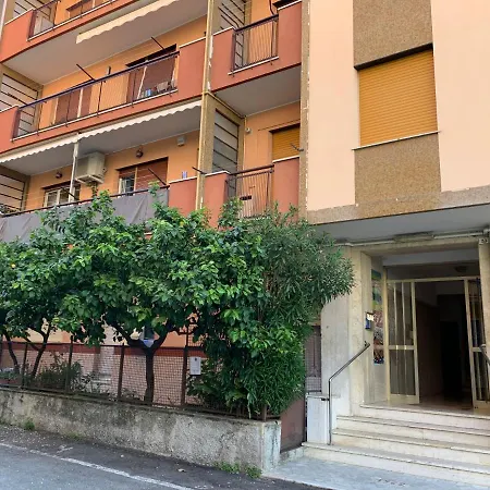 House Sunflower By World Lejlighed *